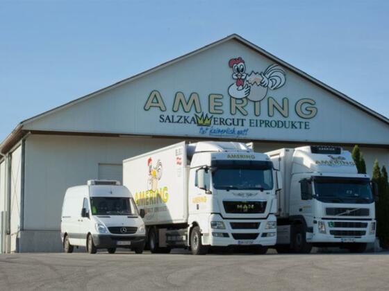 Amering Eiprodukte