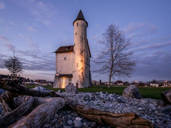 Mittelweiherburg Hard