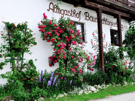 Almgasthof Baumschlagerberg