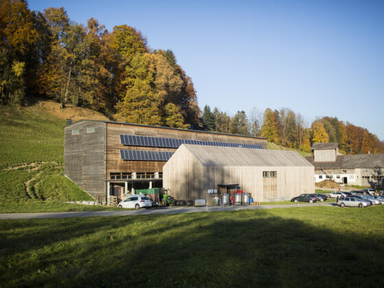 Metzler Käse-Molke GmbH, Egg