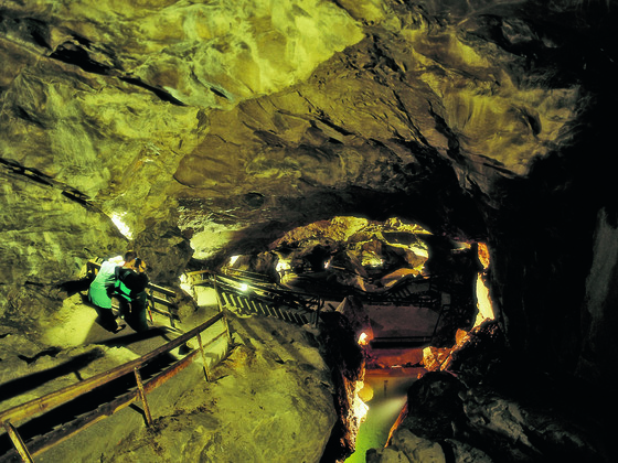 Lamprechtshöhle