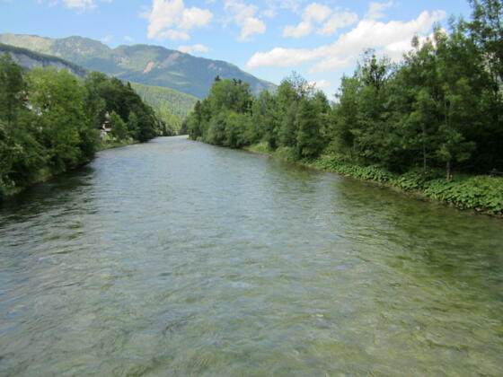 Der Mühlbach, Ausläufer der Traun
