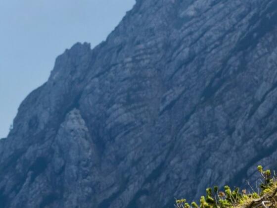 bi-head-mountainbike