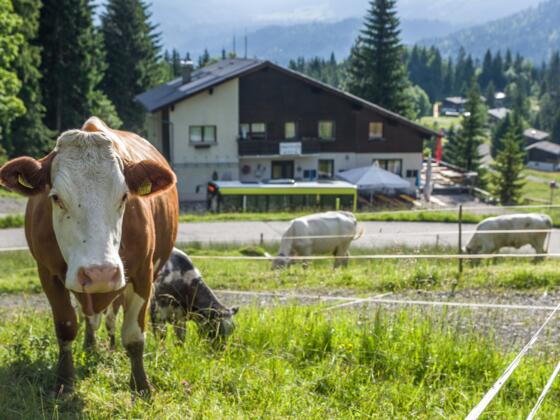Gasthaus Heumöser, Dornbirn-Ebnit