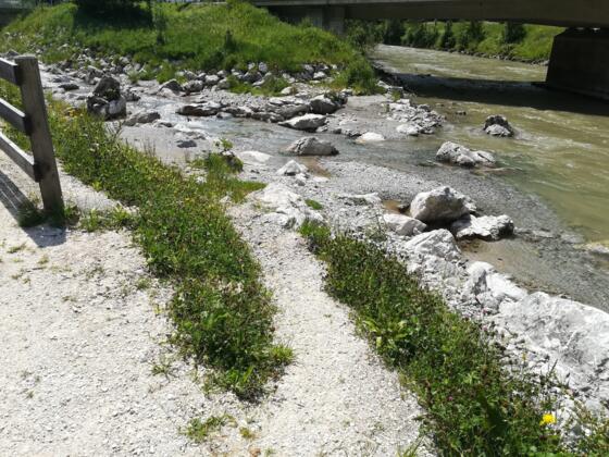 Ein- & Ausstiegsstelle Weißbach