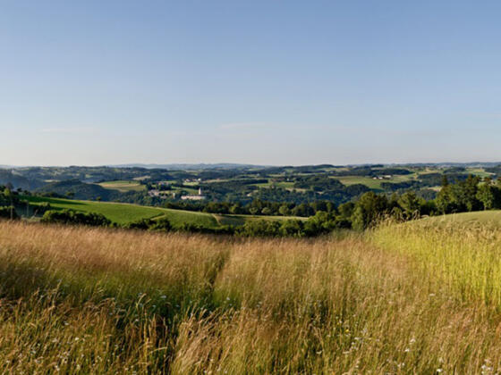 Panoramablick Dallinger