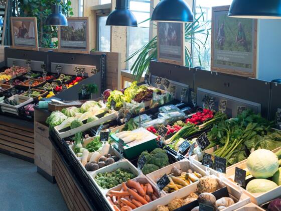 010_Gemuese_2522_15x10cm