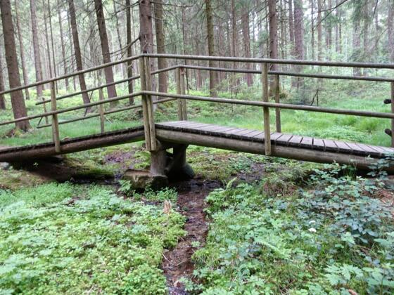 Natternbach Ursprung (Foto: Gemeinde)