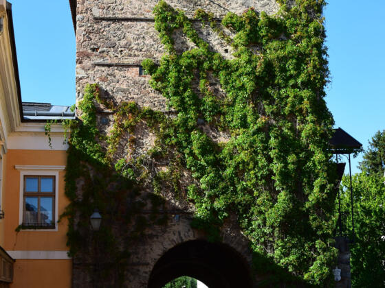 Haslach, Alter Turm mit Heimatmuseum