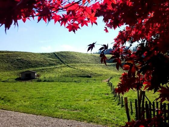 Wandern durch den kleinen &quot;Pfaffenwinkel&quot;