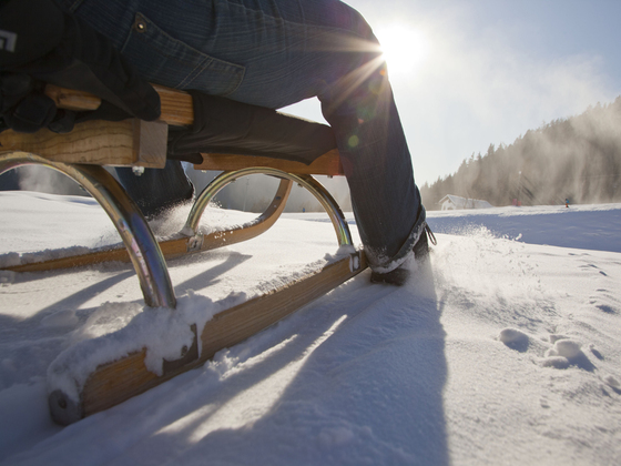 Rodeln im Chiemsee-Alpenland