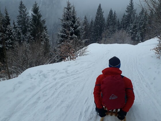 Start der Rodelbahn