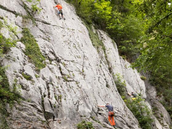 im rechten Bereich: Varioplatte