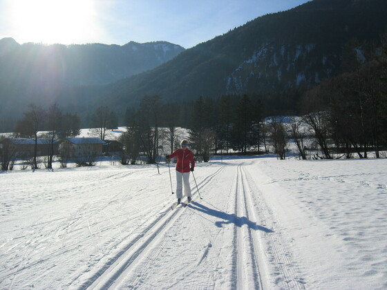 Loip120103_13SchlechingerAu