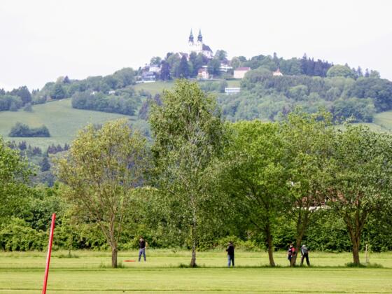 Swingolf und Discgolf
