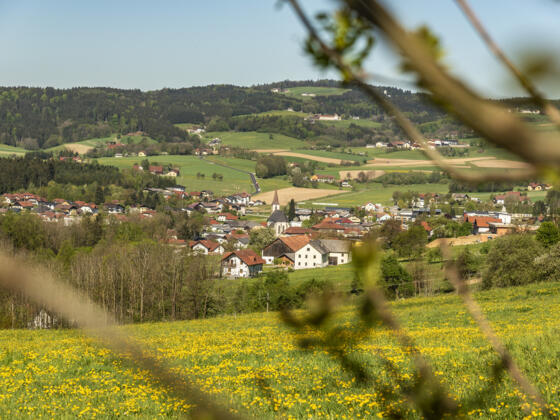 Natternbach (Dr. Noehammer Friedl)