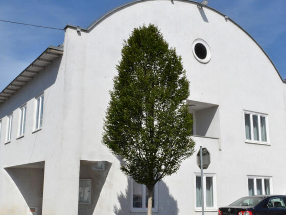 20200724_Pfarrheim_1200x675_Web