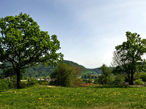 Panoramablick Grein Mühlberg