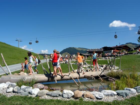 Kletterbaum im Hexenwasser