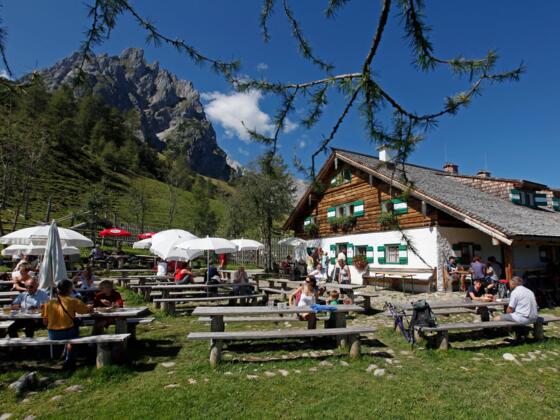 Blick auf die Mitterfeldalm