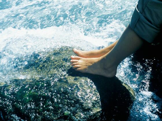 2. Lammerursprung-Loge St. Martin