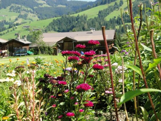 Kräutergarten Hintersalcher Wildschönau