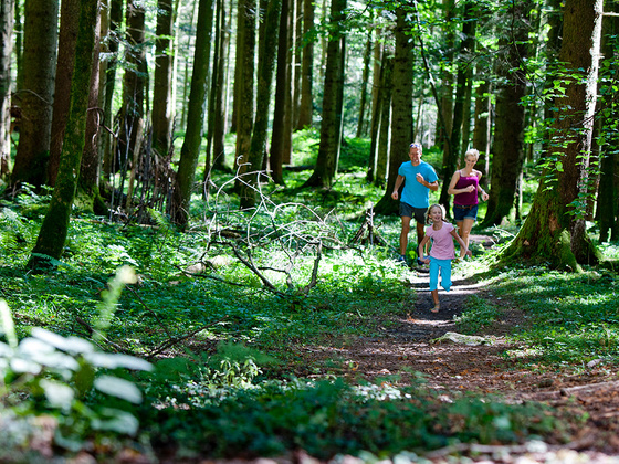 Familien Wanderung auf em Märchenpfad Bischofswiesen