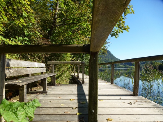 Bank zum Durchatmen am Thumsee-Rundweg Bad Reichenhall
