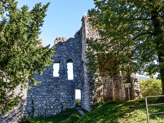 Die Burgruine Karlstein