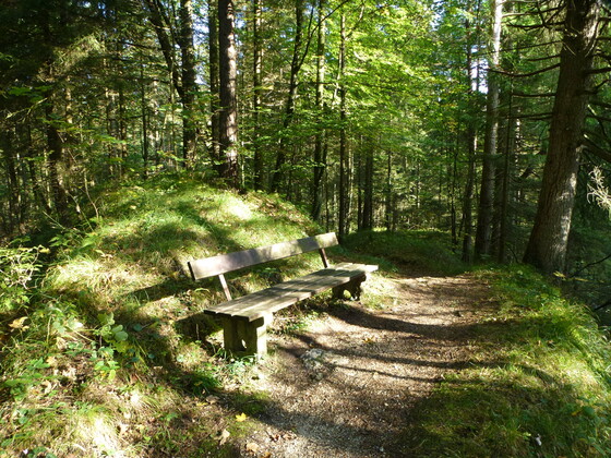 Bank zum Durchatmen am Maisrundweg