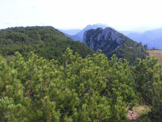 Obinger Kreuz links, Hörndlwand rechts