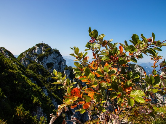 Da Haubtgipfe vom Osdgipfe ogschaud.