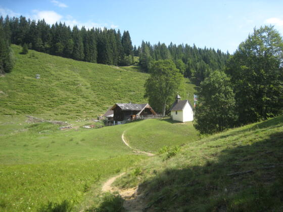 Blick zurück zur Steiner Alm, auf dem Weg zur Steiner alm kommt man von links oben aus dem Wald