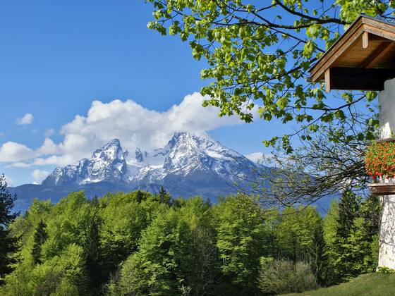 Blick vom Hochgartdörfl zum Watzmann