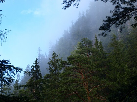 Kastensteiner Wand 796 m