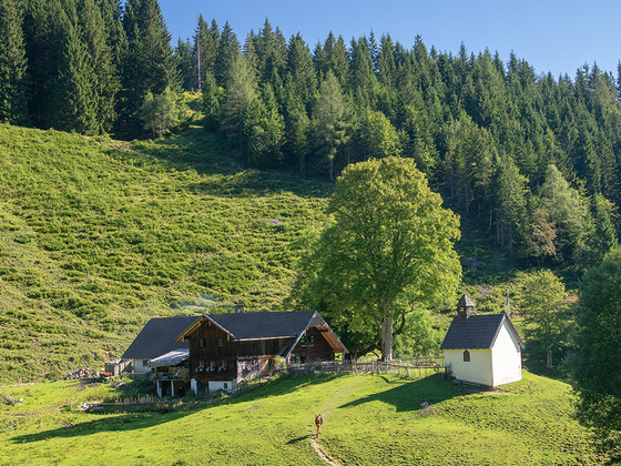 Die Steiner Alm