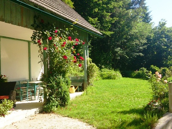 Naturwald Reservat Reiter Alm