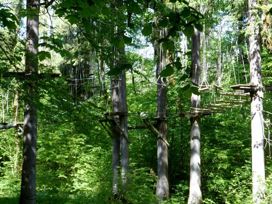 Wald- und Hochseilgarten
