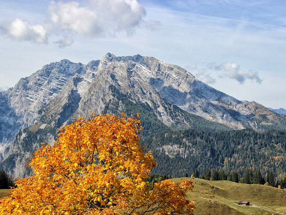 Luftaufnahme von Burg Gruttenstein
