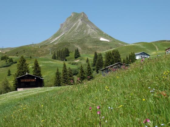 Damülser Mittagsspitze