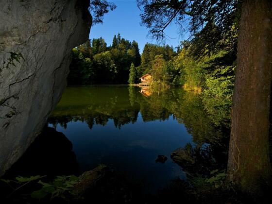 Berglsteinersee im Sommer