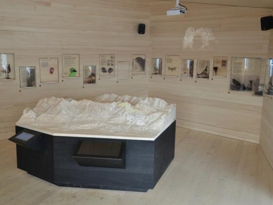 Der &quot;Naturraum Karwendel&quot; auf der Umbrüggler Alm hält zahlreiche Überraschungen parat