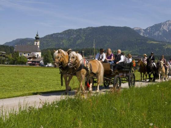 Kutschenfahrten mit Mathias Krall