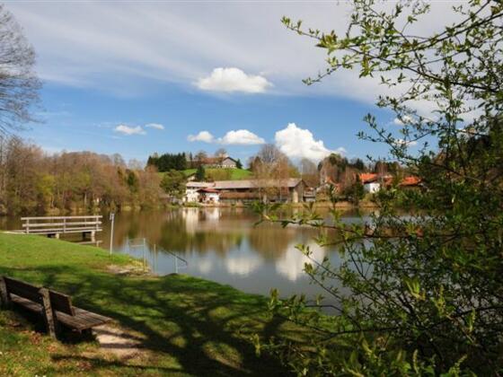 Der Lauser Weiher in Feldkirchen-Westerham.