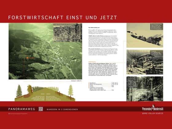 Forstwirtschaft Einst und Jetzt