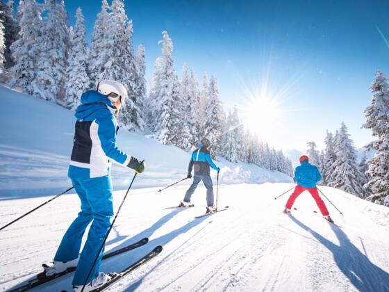 Skigebiet Kleinarl/Flachauwinkel Ski Amadé 