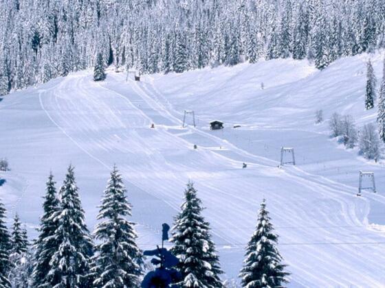 Lammertallift st. martin salzburg