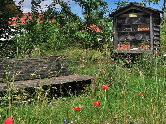 Ökopark Kiefersfelden - Station 5 Kieferer Energiewanderweg
