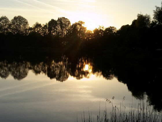 Abendstimmung am Erlensee