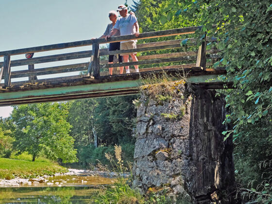 Bründlsteg über den Kieferbach - Station 11 Kieferer Energiewanderweg